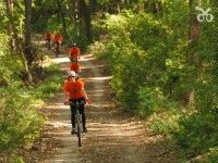 Bike tour: Lower Danube Heritage and Wine