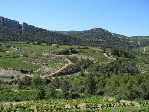 Bike tour: Biking the Vineyards of the Côtes du Rhône