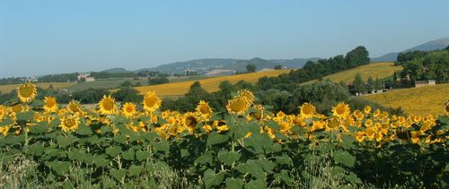 Bike tour: Cycle Tuscany and Umbria