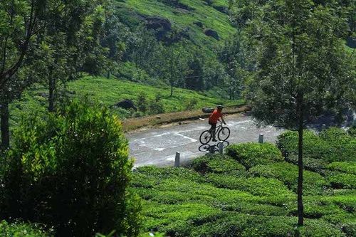 Bike tour: Kerala Cycling Tour