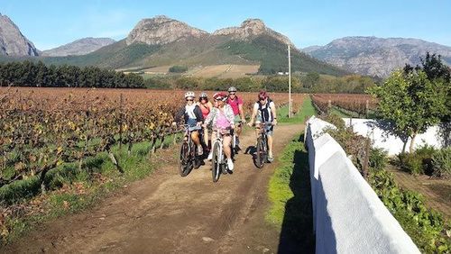 Bike tour: Stellenbosch Bike and Wine tour